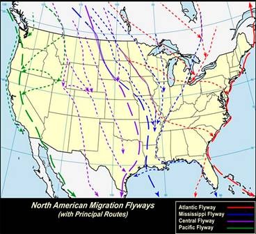 wind whooping turbines cranes energy soft environmental correct politically damage going