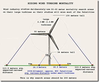 Wind Turbine raptor mortality distances