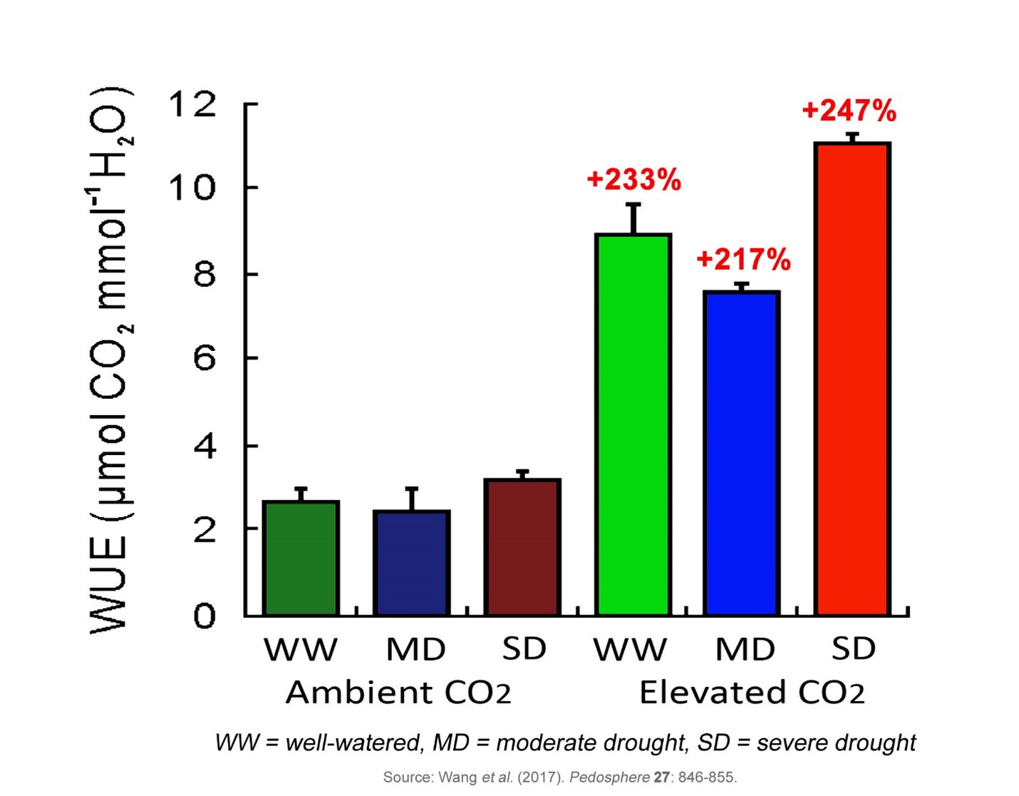 CO2 Enrichment Improves Plant WaterUse Efficiency Environment