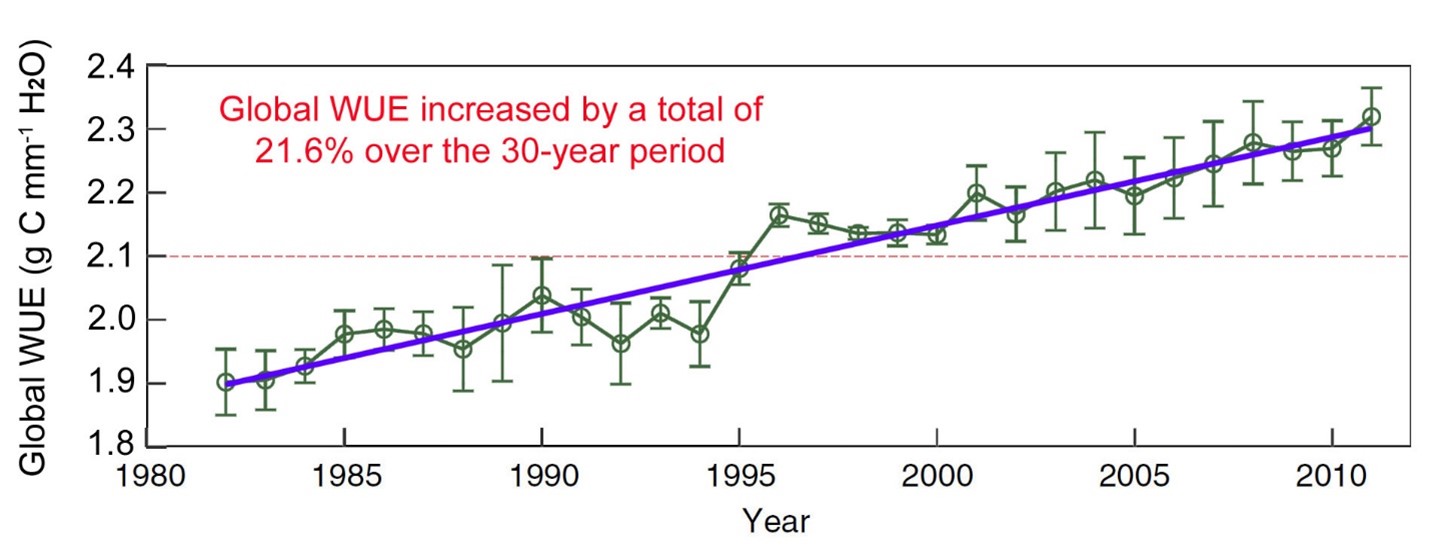 CO2 Enrichment Improves Plant WaterUse Efficiency Master Resource