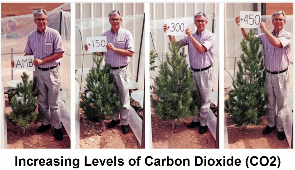 CO2 Science, not Climate Models